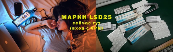PSILOCYBIN Богородицк