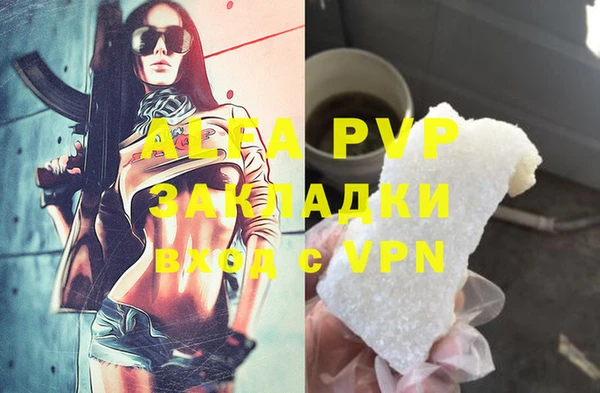 эйфоретик Богданович
