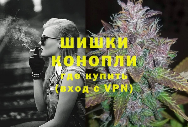 эйфоретик Богданович