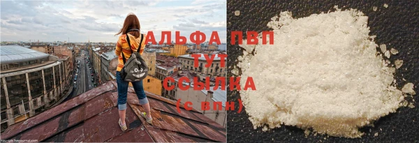 эйфоретик Богданович