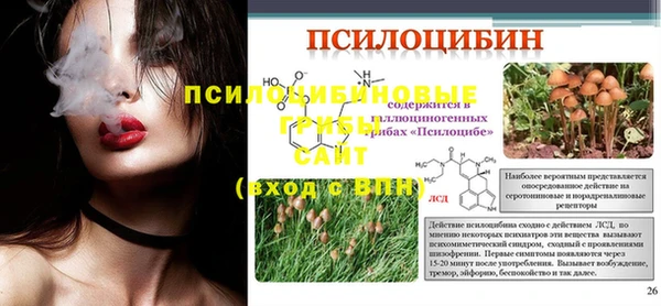 PSILOCYBIN Богородицк