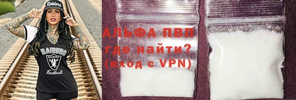 эйфоретик Богданович