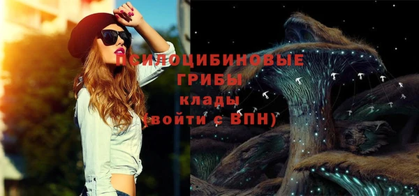 эйфоретик Богданович
