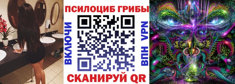 цены omg сайт Галлюциногенные грибы GOLDEN TEACHER Дмитров